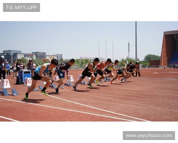 利用333体育国际实现体育知识普及：丰富的赛事资料库与深度分析助你成为体育达人