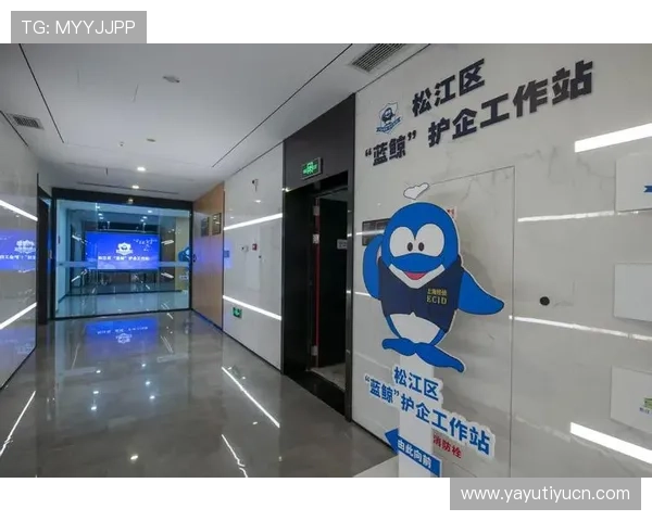 蓝鲸网址官方地址2024年最新版本，提供安全稳定的游戏入口和详细登录指南