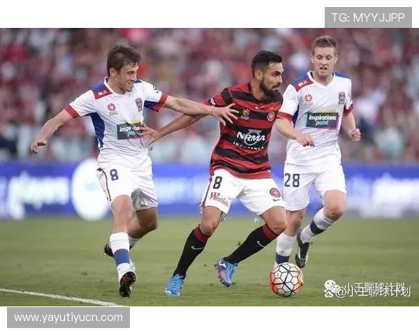 使用500足球比分网轻松查询各类足球比赛的比分、赛程和积分榜信息