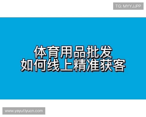 海星体育线上官方入口多语言支持与国际化发展战略深度解析