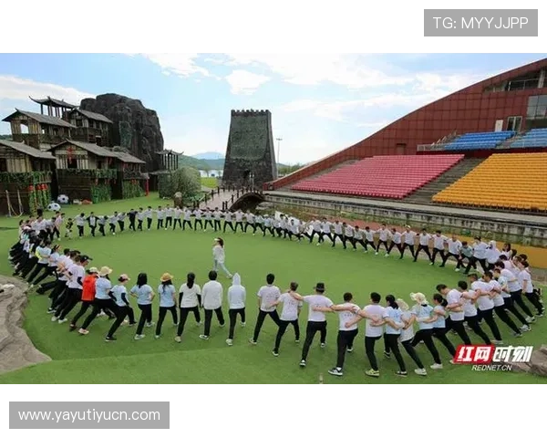 U体育网娱乐：深度挖掘体育赛事中的娱乐元素提升观看趣味性